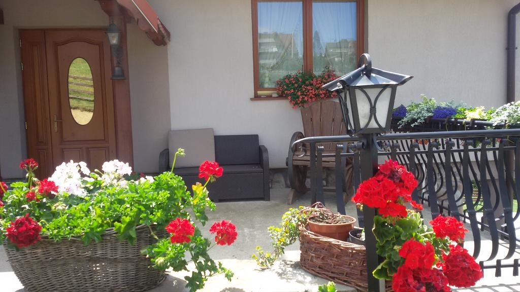 Czarna Góra Apartamenty I Pokoje Rodzinne מראה חיצוני תמונה